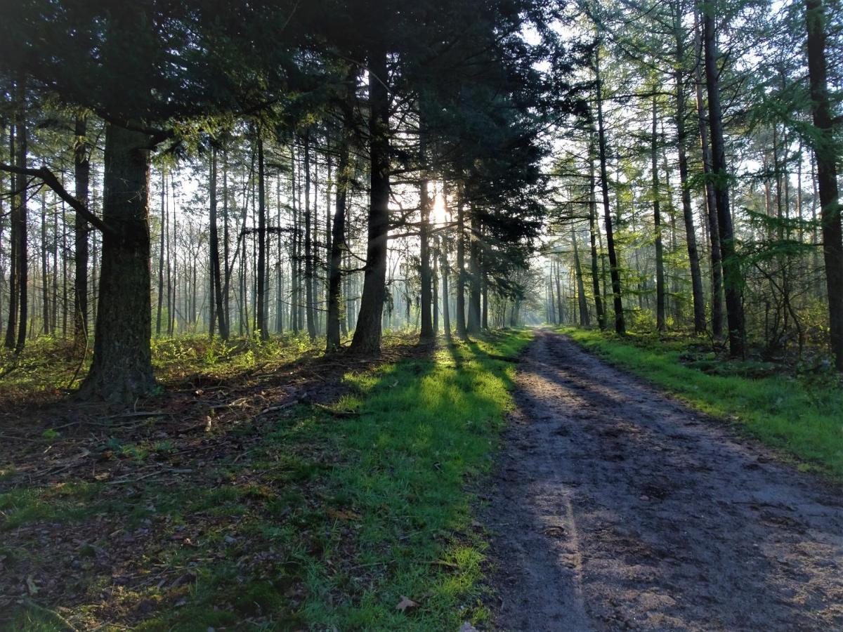 Veluwe Park Reewold Chalet Vision Putten Exteriör bild
