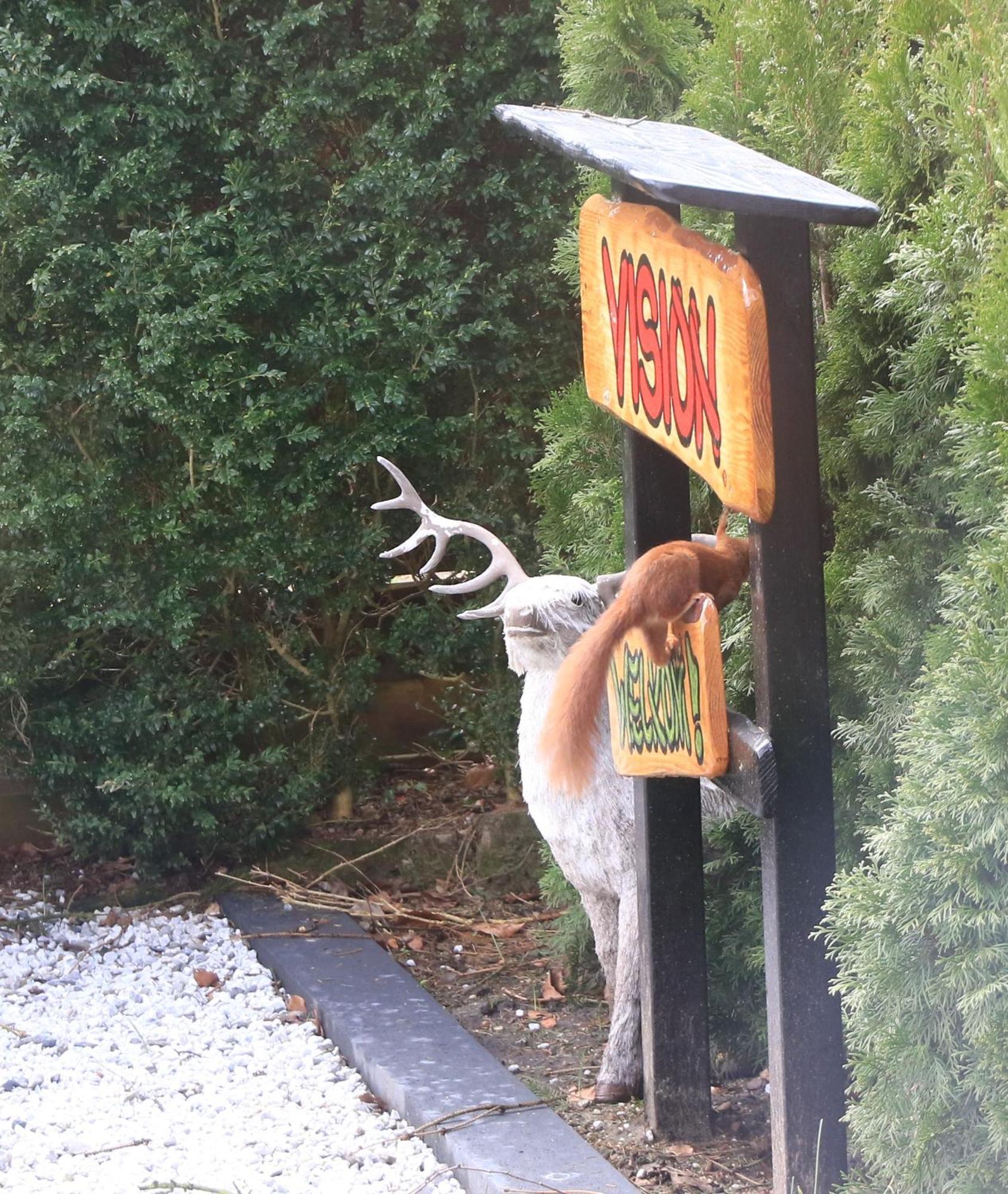Veluwe Park Reewold Chalet Vision Putten Exteriör bild